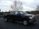 2010 Tuxedo Black Ford F150 XLT SuperCrew 4x4 #22294859