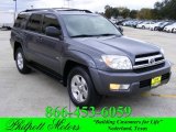 2005 Galactic Gray Mica Toyota 4Runner SR5 #22587044