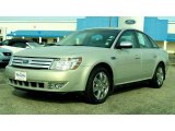 2009 Smokestone Metallic Ford Taurus Limited #22596367