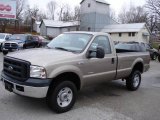 2006 Arizona Beige Metallic Ford F350 Super Duty XL Regular Cab 4x4 #22695000