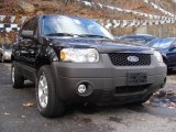 2007 Black Ford Escape XLT V6 4WD #22695880