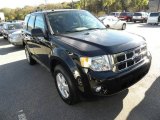 2009 Black Ford Escape XLT V6 #22556206