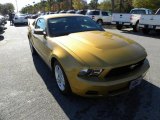 2010 Sunset Gold Metallic Ford Mustang V6 Coupe #22556203