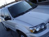 2005 Silver Metallic Ford Escape Hybrid 4WD #22771173