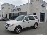 2010 White Suede Ford Escape Hybrid Limited 4WD #22767277