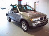 2004 Sterling Grey Metallic BMW X5 3.0i #22826685