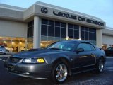 2004 Dark Shadow Grey Metallic Ford Mustang GT Coupe #2294310