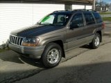 2000 Taupe Frost Metallic Jeep Grand Cherokee Laredo 4x4 #22982413
