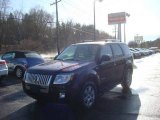 2008 Black Mercury Mariner V6 Premier 4WD #22980687