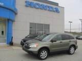 2007 Green Tea Metallic Honda CR-V EX 4WD #22970768