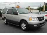 2006 Silver Birch Metallic Ford Expedition XLT #23088276
