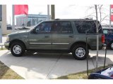 Estate Green Metallic Ford Expedition in 2000