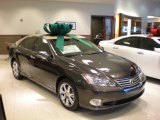 2010 Truffle Brown Mica Lexus ES 350 #23087207