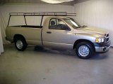2004 Light Almond Pearl Dodge Ram 1500 ST Regular Cab #23184567