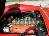 1962 Ferrari 250 GTE / 250 TRC  3.0 Liter SOHC 24-Valve V12 Engine
