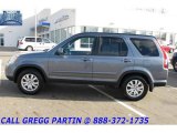 2005 Pewter Pearl Honda CR-V Special Edition 4WD #23168074