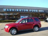 2009 Sangria Red Metallic Ford Escape XLT V6 4WD #23182115