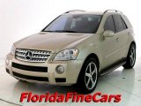 2006 Desert Silver Metallic Mercedes-Benz ML 500 4Matic #23257802