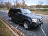 2009 Black Pearl Slate Metallic Ford Expedition XLT 4x4 #23351919