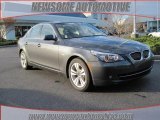 2010 Platinum Grey Metallic BMW 5 Series 528i Sedan #23462107