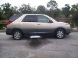 2002 Light Driftwood Buick Rendezvous CX #23453959