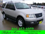 2006 Silver Birch Metallic Ford Expedition XLT #23451352