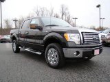 2010 Tuxedo Black Ford F150 XLT SuperCrew 4x4 #23448775