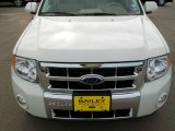2009 White Suede Ford Escape Limited V6 #23517367