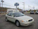 2006 Ford Taurus SEL