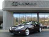 2005 Black Garnet Pearl Lexus ES 330 #23657594