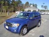 2009 Sport Blue Metallic Ford Escape XLT V6 #23659009