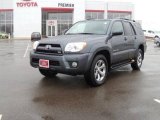 2007 Galactic Gray Mica Toyota 4Runner Limited 4x4 #23761689