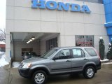 2006 Pewter Pearl Honda CR-V LX 4WD #23786100