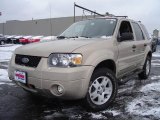 2007 Dune Pearl Metallic Ford Escape XLT V6 4WD #23780911