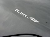 1999 Pontiac Firebird Trans Am WS-6 Coupe Marks and Logos