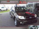 2006 Shadow Mica Toyota 4Runner Limited 4x4 #23980870