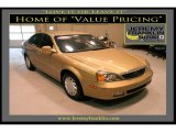 2004 Suzuki Verona Harvest Gold Metallic