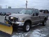 2003 Arizona Beige Metallic Ford F350 Super Duty XLT Regular Cab 4x4 #23918325