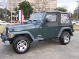 2004 Shale Green Metallic Jeep Wrangler SE 4x4 #23920141