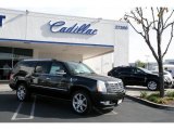 2010 Black Ice Cadillac Escalade ESV Premium AWD #24142065