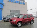 2005 Redfire Metallic Ford Escape Limited 4WD #24124721