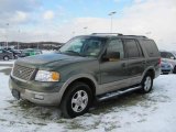 2003 Estate Green Metallic Ford Expedition Eddie Bauer 4x4 #24208436