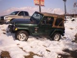 1999 Forest Green Pearlcoat Jeep Wrangler Sahara 4x4 #24208776