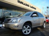 2008 Savannah Metallic Lexus RX 350 AWD #2425283