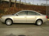 Melange Metallic Audi A6 in 2001