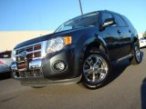 2009 Black Pearl Slate Metallic Ford Escape Limited V6 #24258678