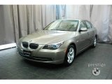 2008 Platinum Bronze Metallic BMW 5 Series 528i Sedan #24387445