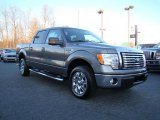 2010 Sterling Grey Metallic Ford F150 XLT SuperCrew #24387808