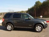 2008 Black Pearl Slate Metallic Ford Escape XLT #24436407