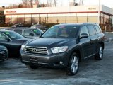 2008 Magnetic Gray Metallic Toyota Highlander Limited 4WD #24436717